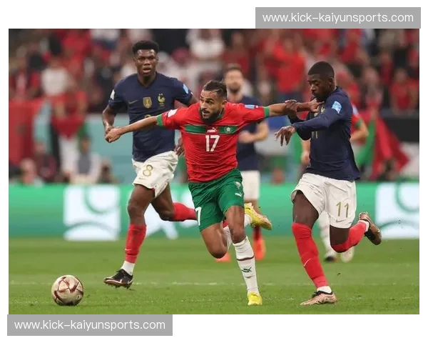 德意志雄狮与高卢雄鸡：一部交织着荣耀与伤痕的历史史诗